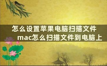 怎么设置苹果电脑扫描文件 mac怎么扫描文件到电脑上